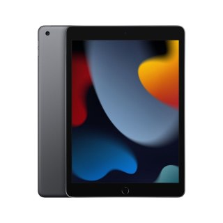 Tablet APPLE iPad 10.2" 256 GB Space Gray (Gwiezdna Szarość)