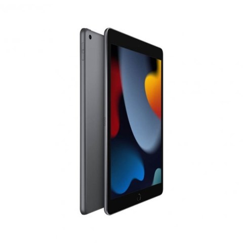 Tablet APPLE iPad 10.2" 256 GB Space Gray (Gwiezdna Szarość)