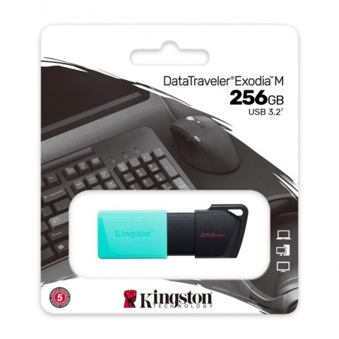 Pendrive (Pamięć USB) KINGSTON (256 GB \Czarno-miętowy )