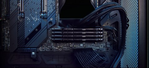 KINGSTON DDR5 32GB 6000MT/s CL40 DIMM (Kit of 2) FURY Beast Black XMP KINGSTON DDR5 32GB 6000MT/s CL40 DIMM (Kit of 2) FURY Beast Black XMP