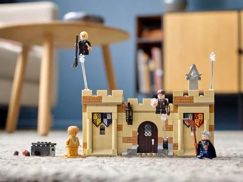 LEGO Harry Potter 76395 Hogwart: Pierwsza lekcja latania