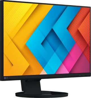 Monitor EIZO EV2490-BK (23.8" /IPS /60Hz /1920 x 1080 /Czarny)