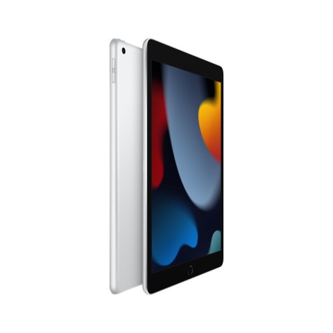 Tablet APPLE iPad 9 gen. (10.2"/Apple A13/64GB/iPadOS 15/Wi-Fi/Srebrno-czarny)