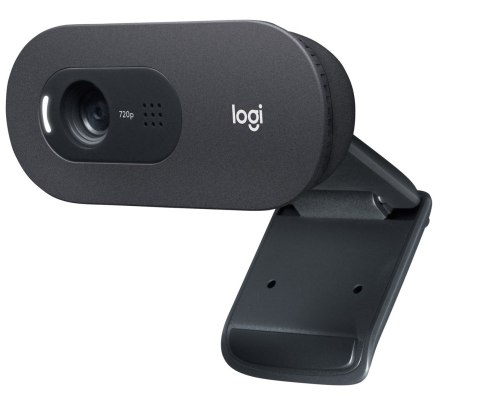 Kamera LOGITECH C505E HD Webcam Black