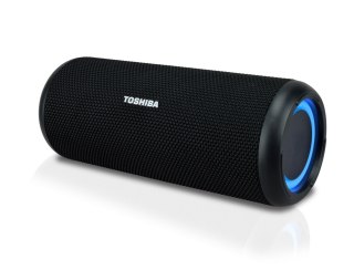 Przenośny głośnik bluetooth Toshiba TY-WSP201