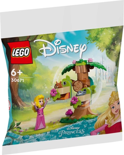 LEGO Disney Leśny plac zabaw Aurory 30671