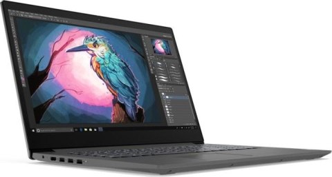 Notebook LENOVO V17-IIL (17.3"/i5-1035G1 /MX330/8GB/SSD512GB/W10P/Szaro-czarny)